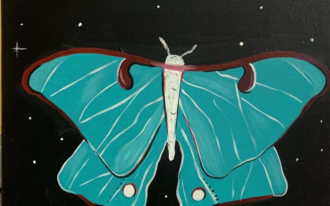 Moon Moth Only $20